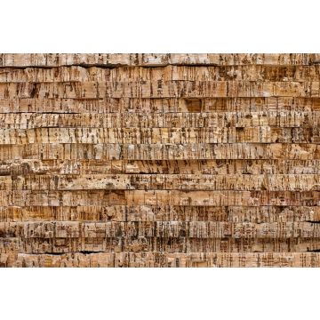Floer Wandpaneel Akukurk Steenstrips Lichtbruin