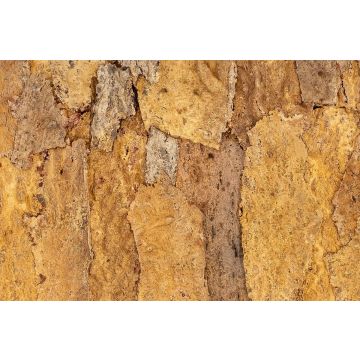 Floer Wandpaneel Akukurk Zandsteen Natuur