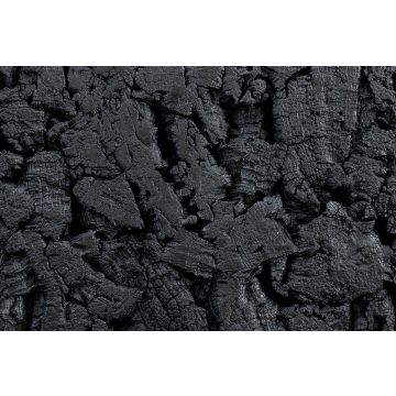 Floer Wandpaneel Akukurk Boomschors Zwart