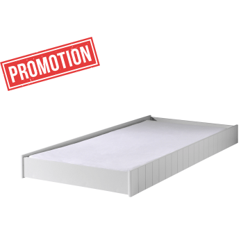 ROBIN ROLBED WIT