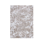 de-online-binnenstad-b-v-163861-1.png