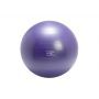 Gymnic Plus Paars